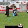 IMG_9404 (2)